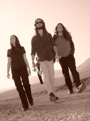 Travis Larson Band